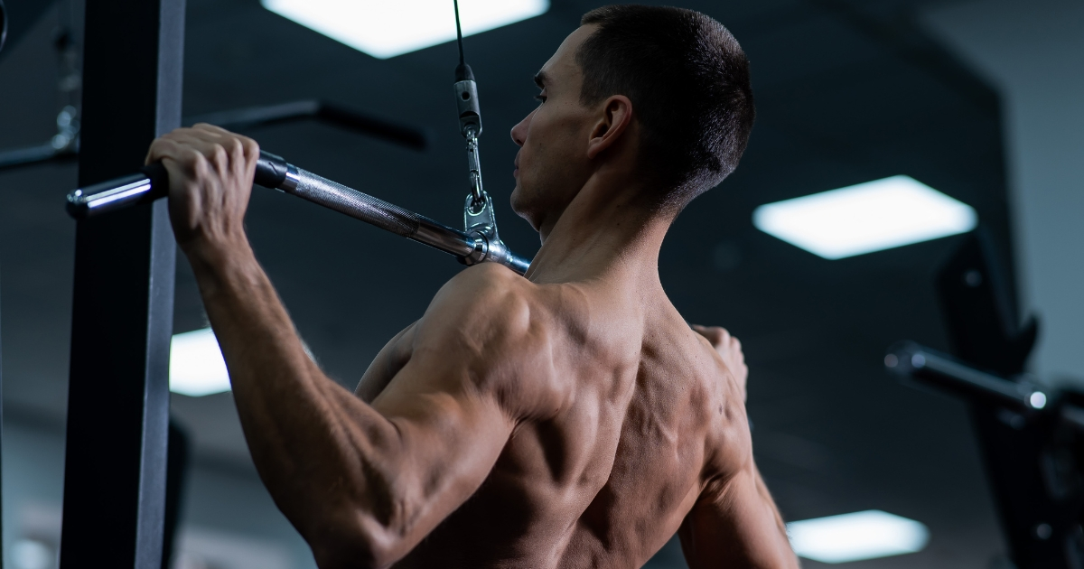 Back Exercises
